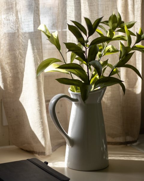 a plant in a white vase next to a book