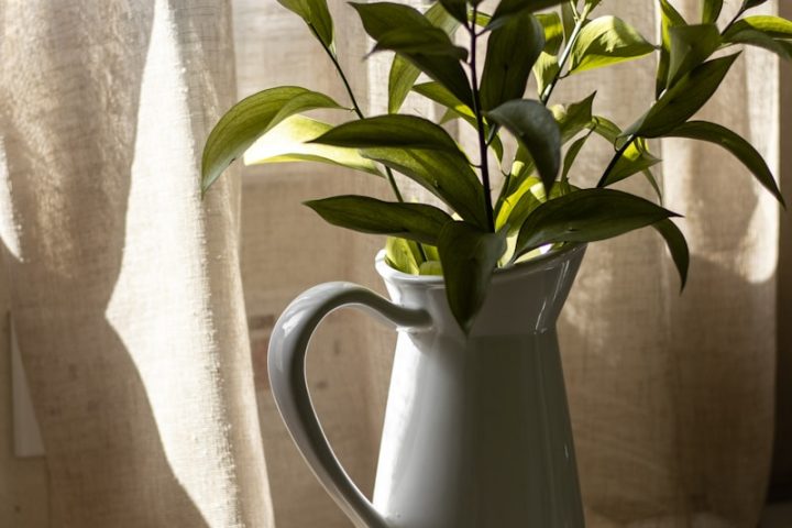 a plant in a white vase next to a book