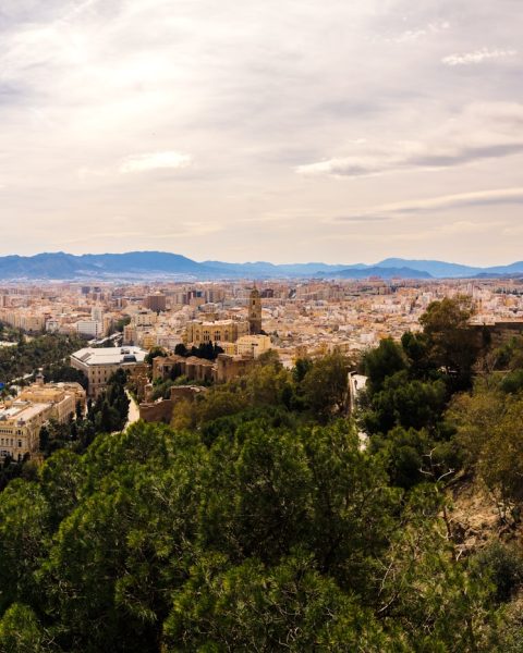 a scenic view of a city and a body of water