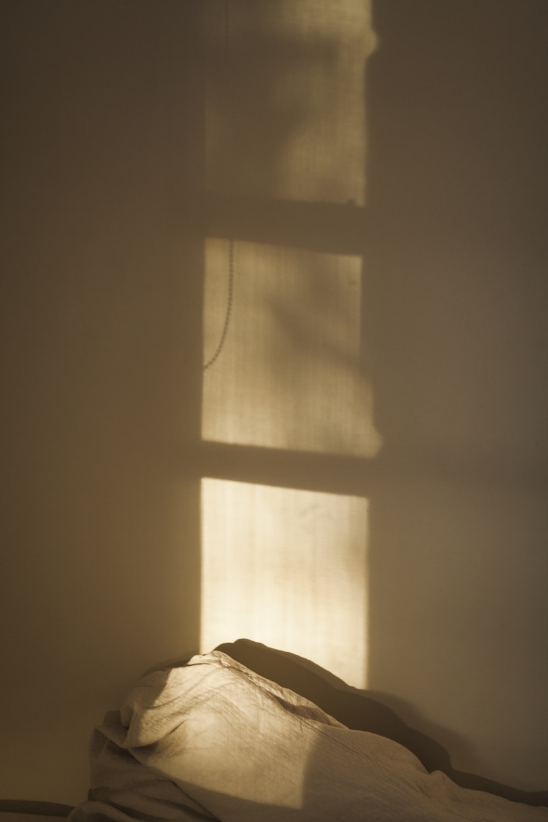 window shadow on wall