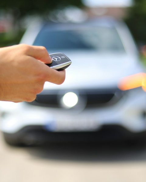 a hand holding a phone