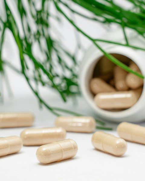 Beige capsules spilled from a white bottle near green pine needles