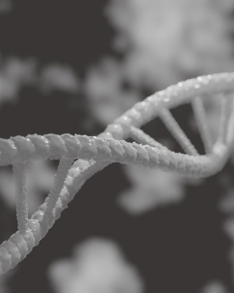 Microscopisch beeld van een DNA-streng die chromosoomstructuur symboliseert