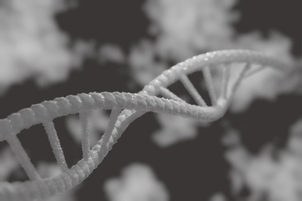 Microscopisch beeld van een DNA-streng die chromosoomstructuur symboliseert