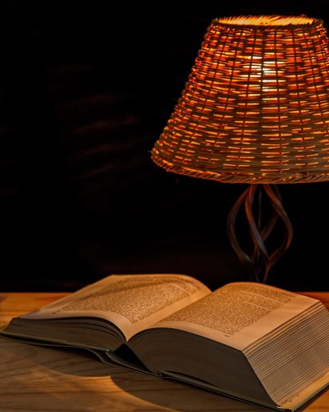 Iemand leest een thriller bij nachtlampje in bed